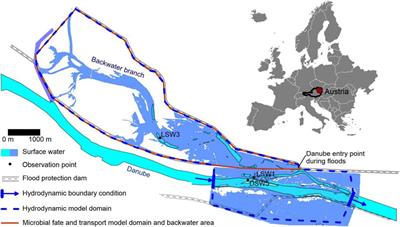 Genetic Microbial Source Tracking Support QMRA Modeling for a Riverine Wetland Drinking Water Resource